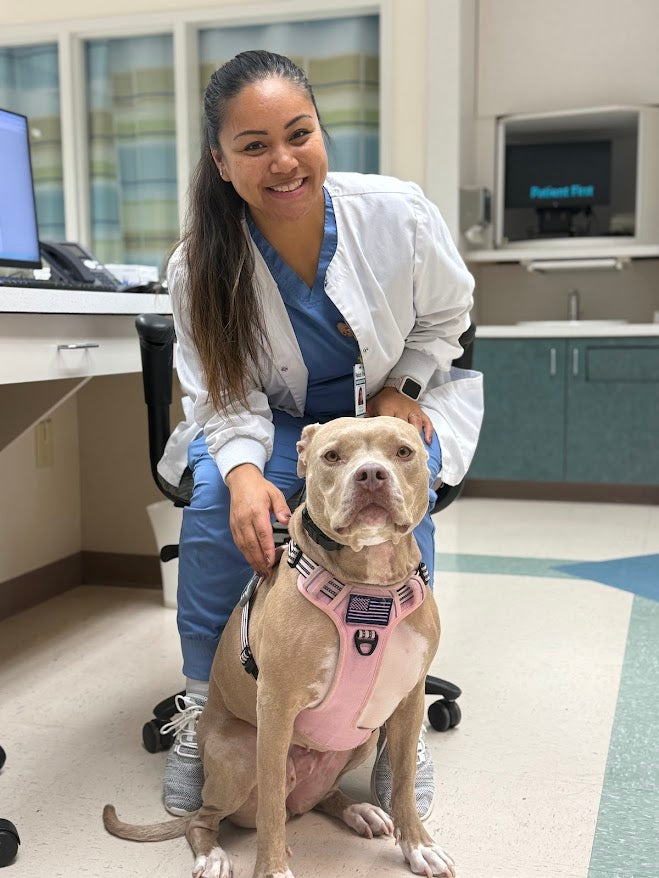 Honey the service dog with a healthcare professional